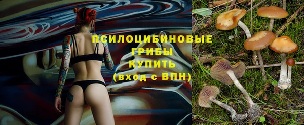 гидропоника Гусь-Хрустальный