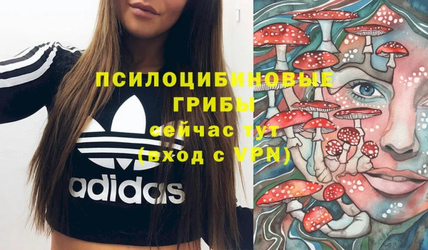 синтетический гашиш Гусиноозёрск
