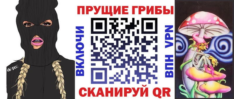 Купить где  Североморск  Галлюциногенные грибы Magic Shrooms 